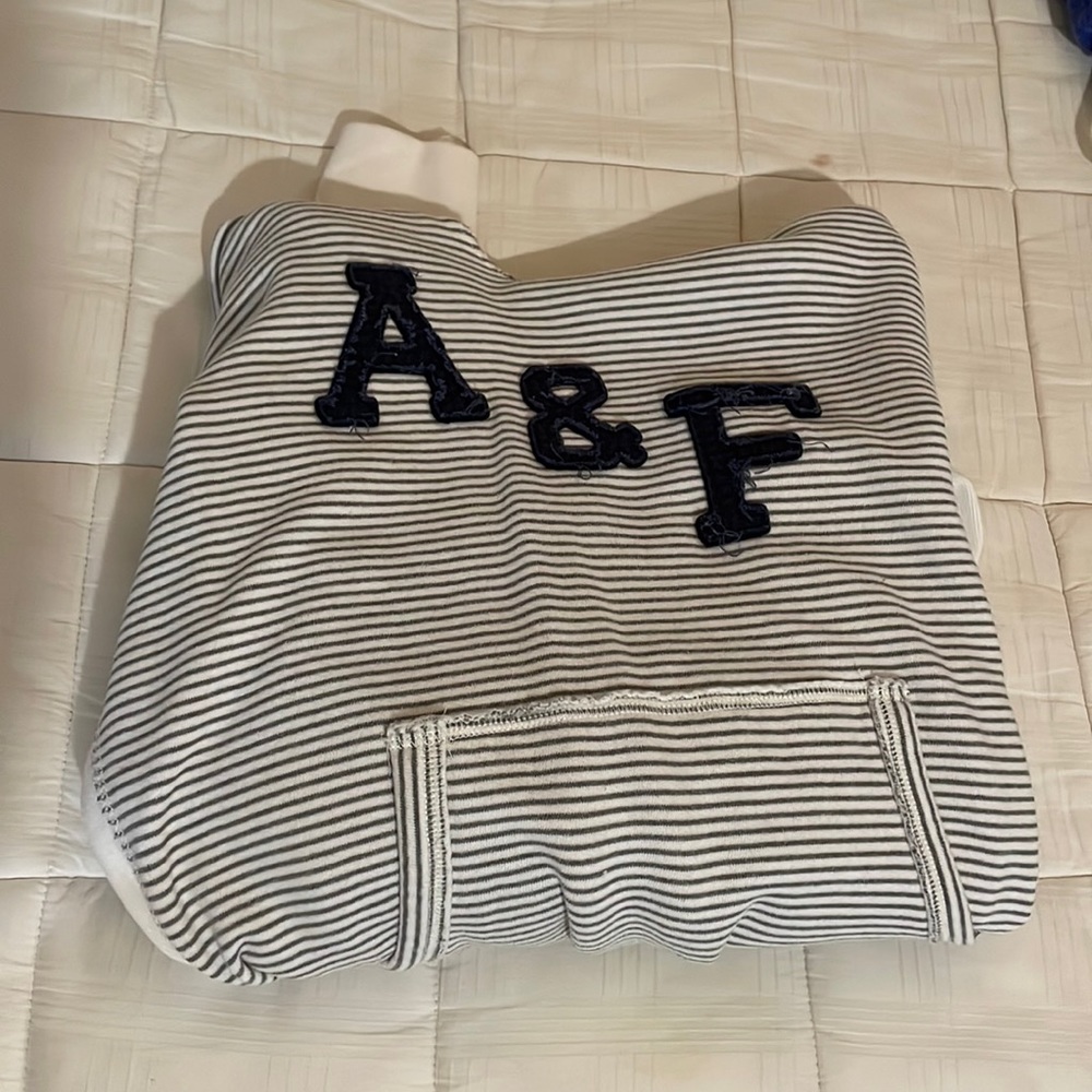 Abercrombie and Fitch Hooded Sweatshirt